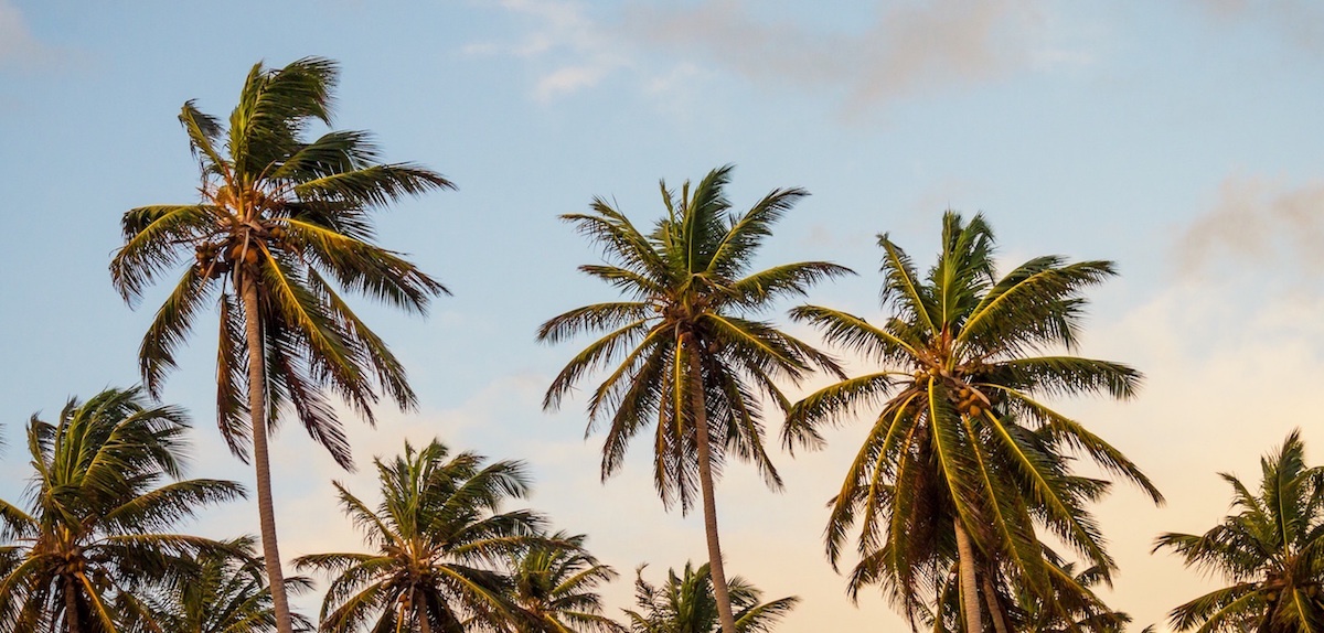 Vacationing Employees are Successful Employees