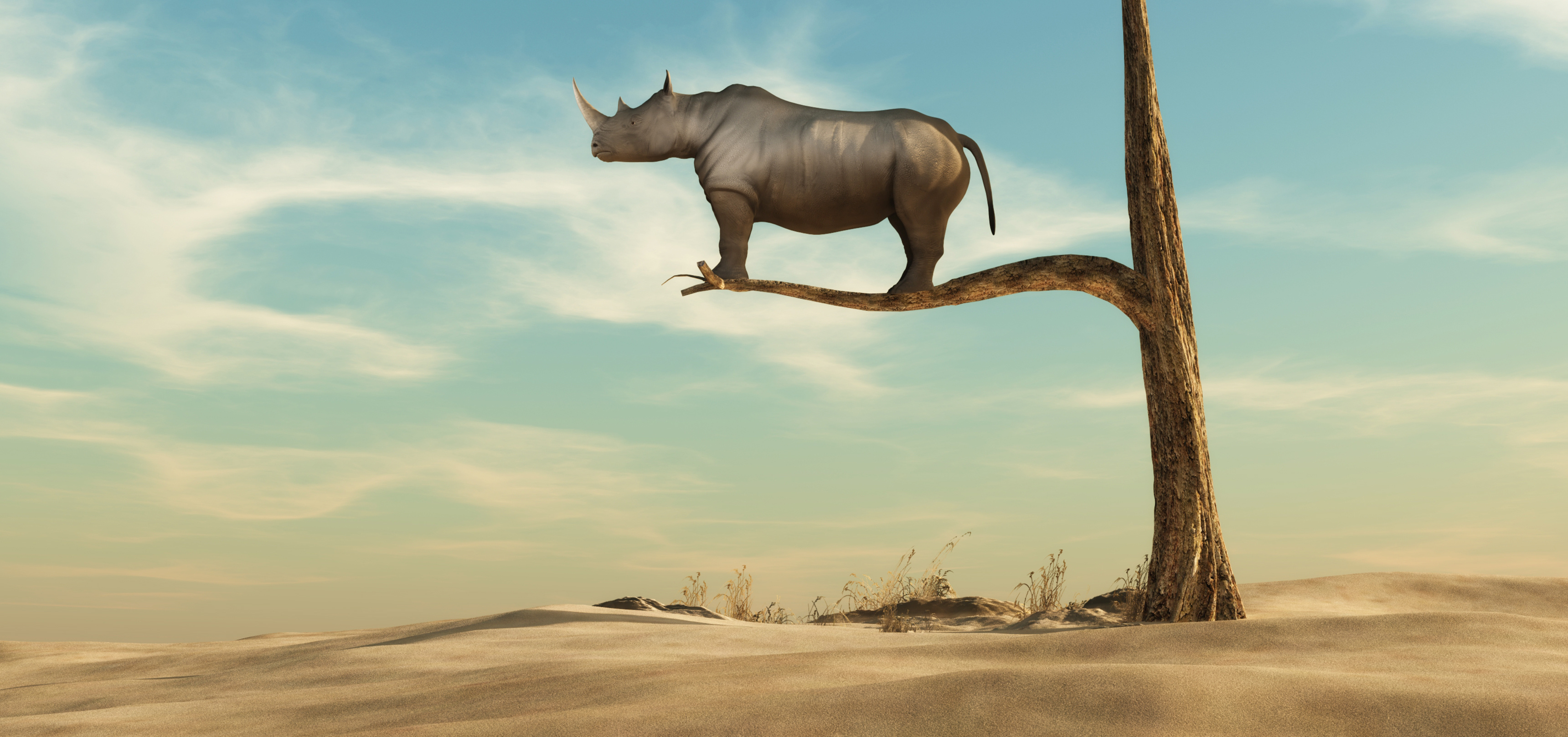 The Nature of Small Business (Vol. 1)